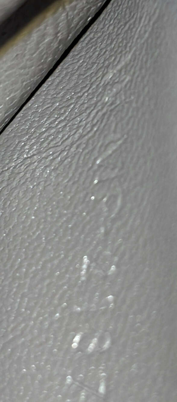 Celine Trotteur Crossbody Bag Grainy #202291C12B - Picture 9 of 9